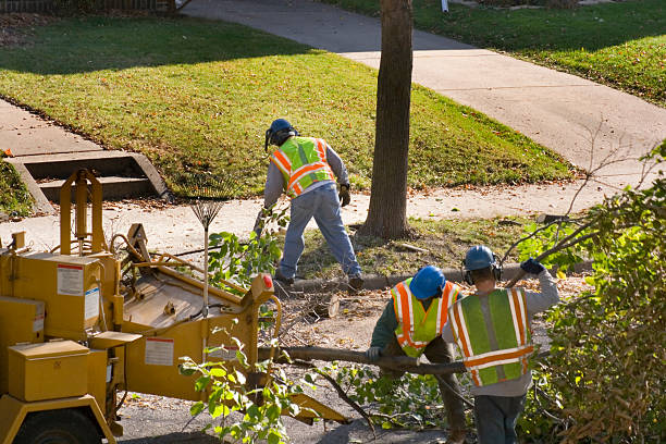 Best Lawn Watering Services  in Levittown, PA